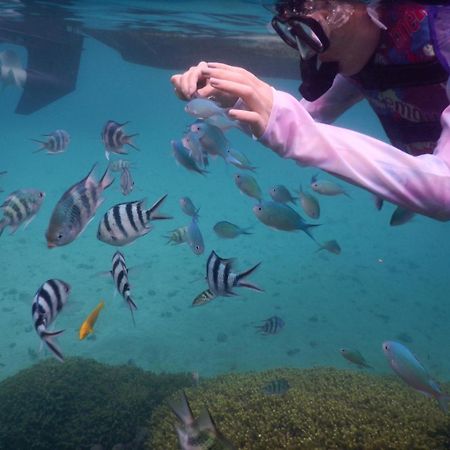 ゲストハウス備瀬の海 Extérieur photo