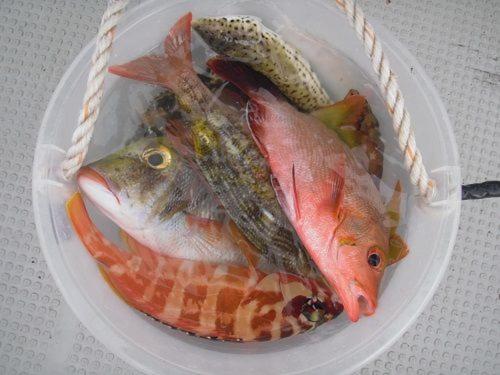 ゲストハウス備瀬の海 Extérieur photo