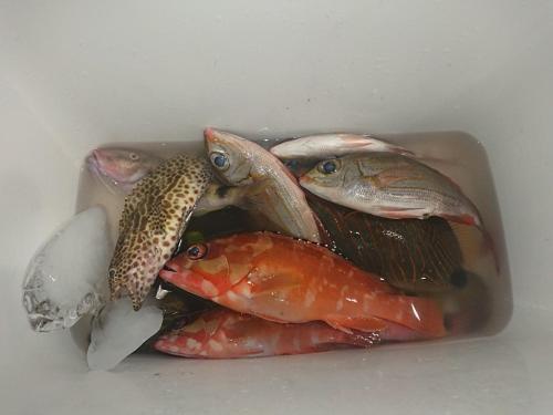 ゲストハウス備瀬の海 Extérieur photo